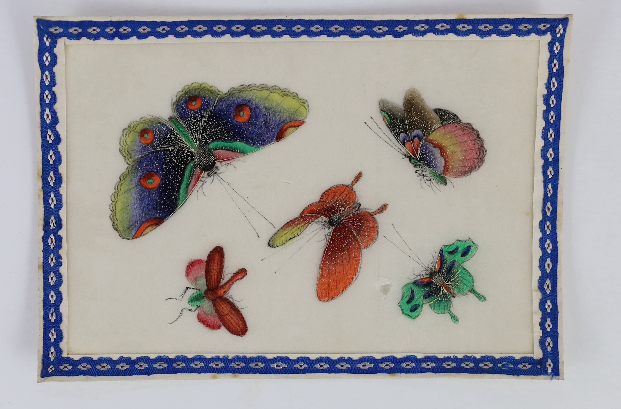 A set of twelve Chinese pith paintings of butterflies and insects, mid 19th century, total size 18cm x 12.2cm, small holes to paper